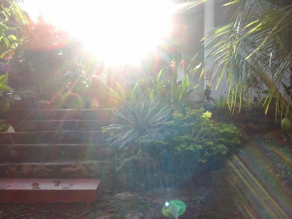 Himasha Guest Hotel Mirissa Bagian luar foto