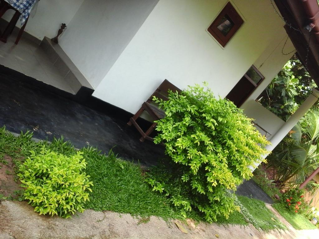 Himasha Guest Hotel Mirissa Bagian luar foto